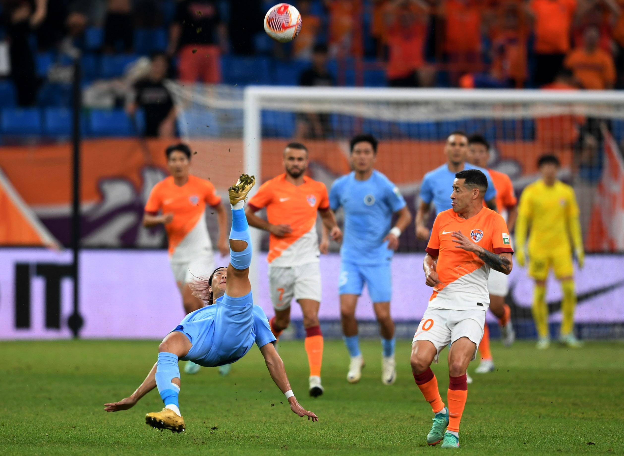 只是浙江稠 只是浙江稠