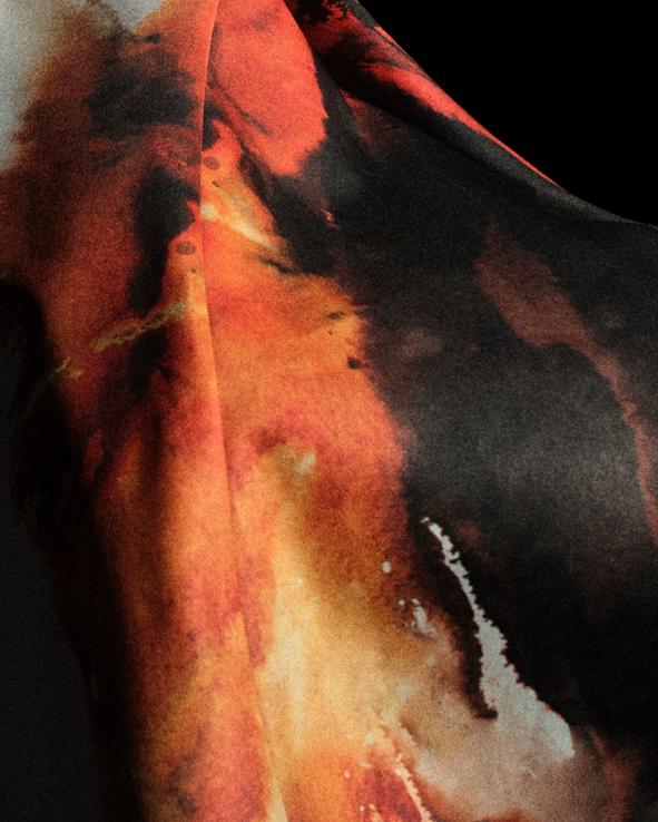 多年的巴西 多年的巴西