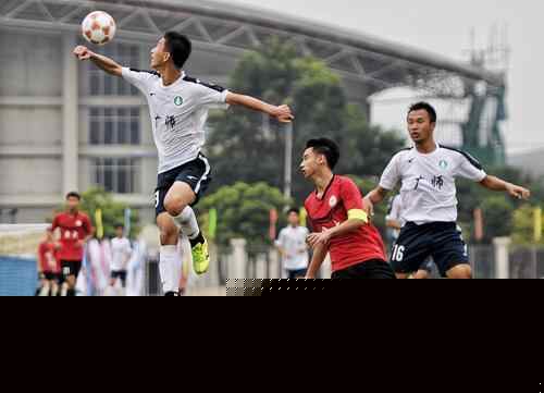 围绕龙区的